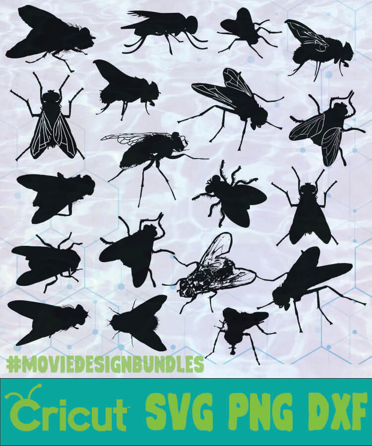 Download Fly Animal Silhouette Logo Svg Png Dxf Movie Design Bundles